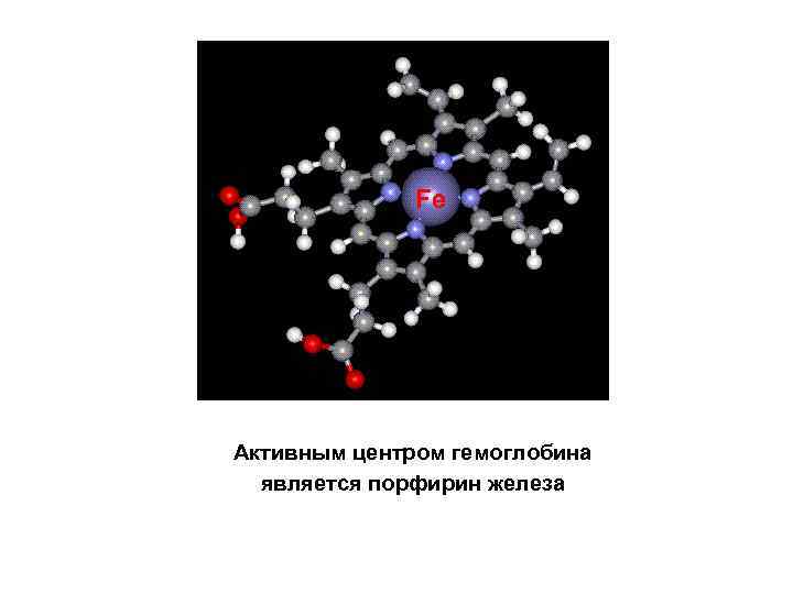Fe Активным центром гемоглобина является порфирин железа 