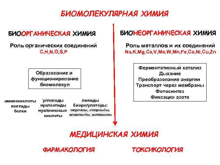 БИОМОЛЕКУЛЯРНАЯ ХИМИЯ БИООРГАНИЧЕСКАЯ ХИМИЯ БИОНЕОРГАНИЧЕСКАЯ ХИМИЯ Роль органических соединений Роль металлов и их соединений