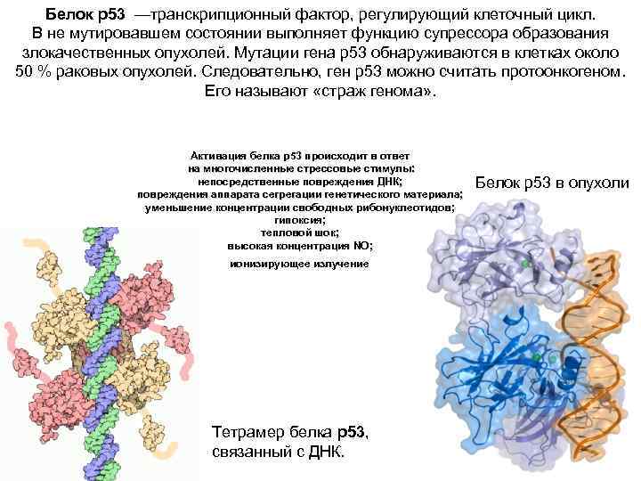 Выполненное состояние