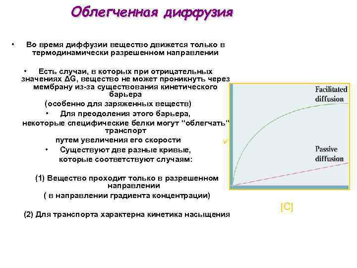 Облегченная диффузия • Во время диффузии вещество движется только в термодинамически разрешенном направлении •