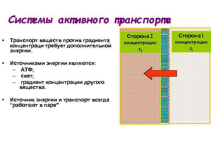 Системы активного транспорта • Транспорт веществ против градиента концентраци требует дополнительной энергии. • Источниками