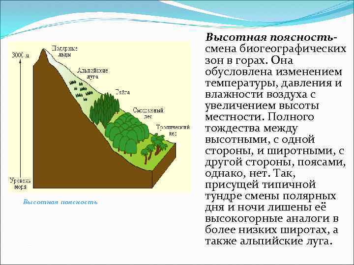 Высотная поясностьсмена биогеографических зон в горах. Она обусловлена изменением температуры, давления и влажности воздуха