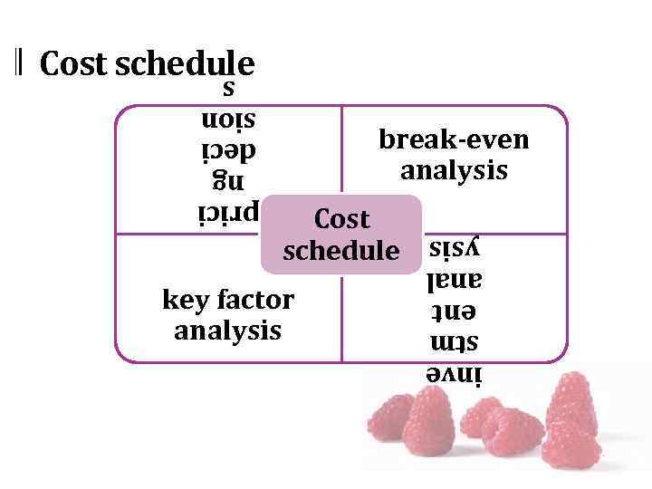 Cost schedule break-even analysis prici ng deci sion s key factor analysis inve stm