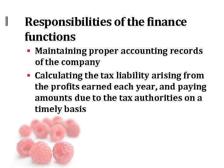 Responsibilities of the finance functions § Maintaining proper accounting records of the company §