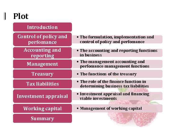 Plot Introduction Control of policy and perfomance Accounting and reporting Management Treasury • The