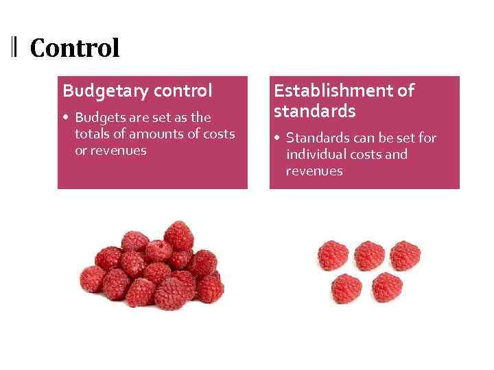 Control Budgetary control Establishment of standards • Budgets are set as the totals of