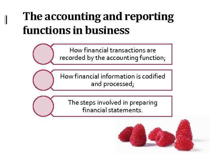 The accounting and reporting functions in business How financial transactions are recorded by the