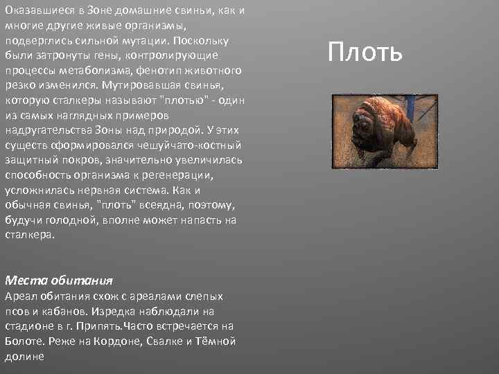 Оказавшиеся в Зоне домашние свиньи, как и многие другие живые организмы, подверглись сильной мутации.