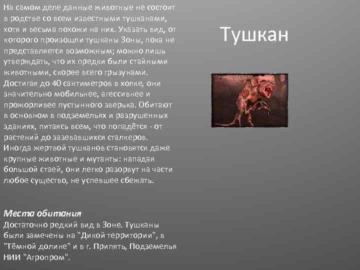 На самом деле данные животные не состоят в родстве со всем известными тушканами, хотя