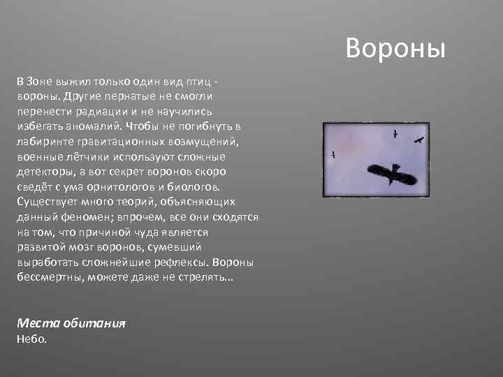 Вороны В Зоне выжил только один вид птиц вороны. Другие пернатые не смогли перенести