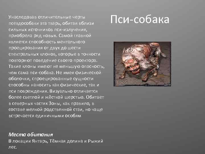 Унаследовав отличительные черты псевдособаки эта тварь, обитая вблизи сильных источников пси-излучения, приобрела ряд новых.