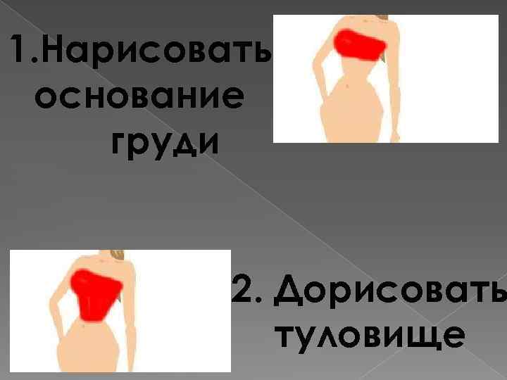 1. Нарисовать основание груди 2. Дорисовать туловище 