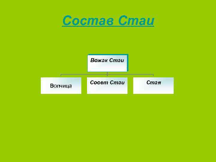 Состав Стаи Вожак Стаи Волчица Совет Стаи Стая 