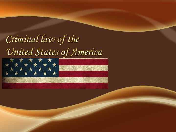 Criminal law of the United States of America 