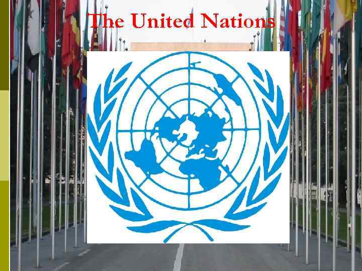 The United Nations 