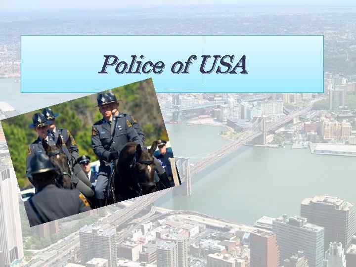 Police of USA 