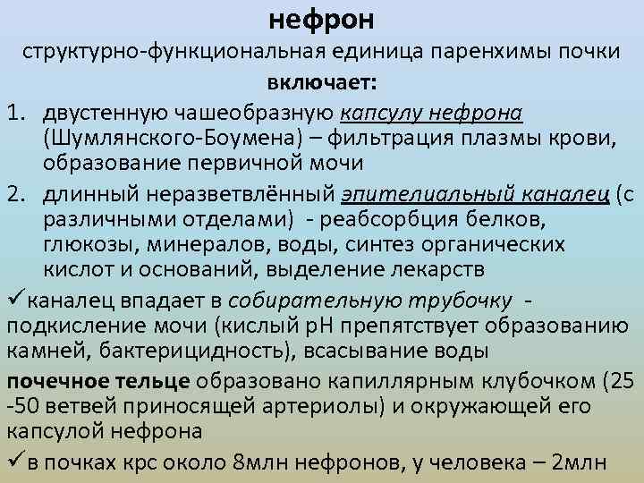 нефрон структурно-функциональная единица паренхимы почки включает: 1. двустенную чашеобразную капсулу нефрона (Шумлянского-Боумена) – фильтрация