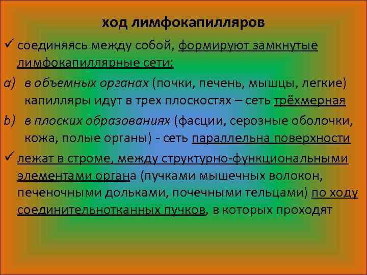 ход лимфокапилляров ü соединяясь между собой, формируют замкнутые лимфокапиллярные сети: a) в объемных органах