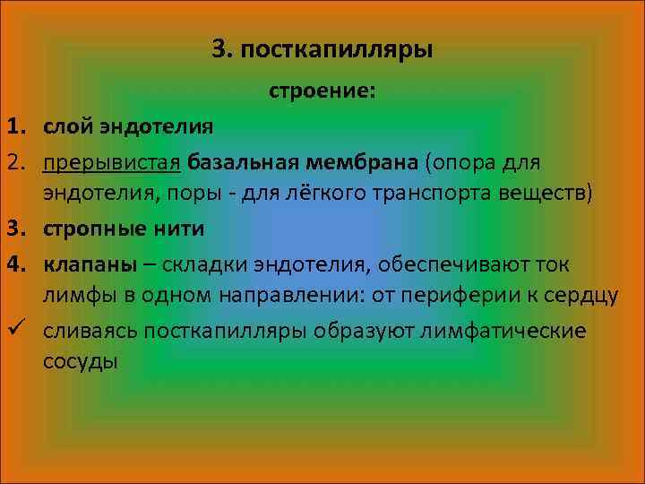 3. посткапилляры строение: 1. слой эндотелия 2. прерывистая базальная мембрана (опора для эндотелия, поры