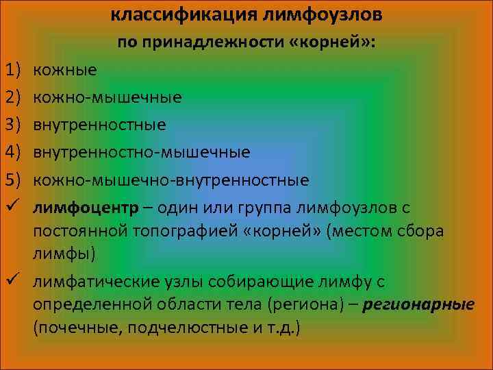 классификация лимфоузлов по принадлежности «корней» : 1) 2) 3) 4) 5) ü кожные кожно-мышечные