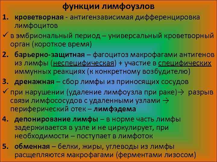 Универсальный период. Параганглии гормоны. Параганглии функции. Нехромаффинные параганглии гормоны. Роль параганглиев.