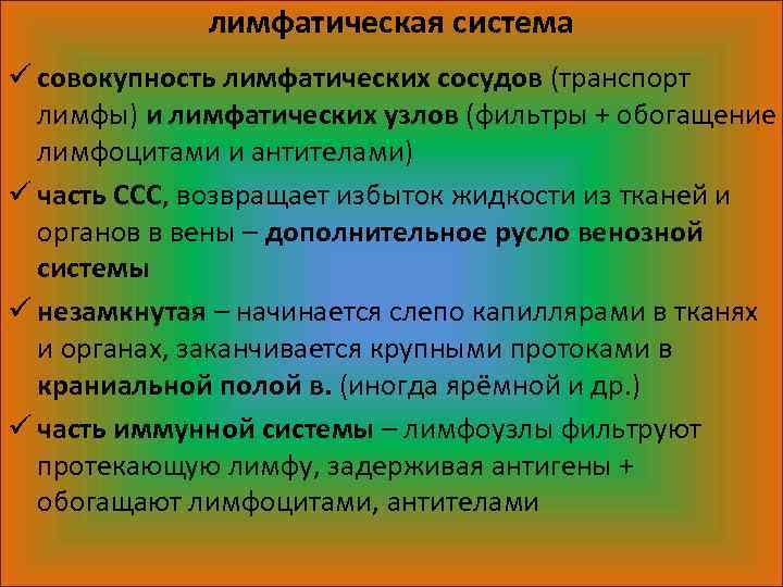 лимфатическая система ü совокупность лимфатических сосудов (транспорт лимфы) и лимфатических узлов (фильтры + обогащение