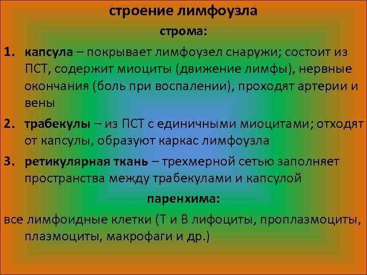 строение лимфоузла строма: 1. капсула – покрывает лимфоузел снаружи; состоит из ПСТ, содержит миоциты