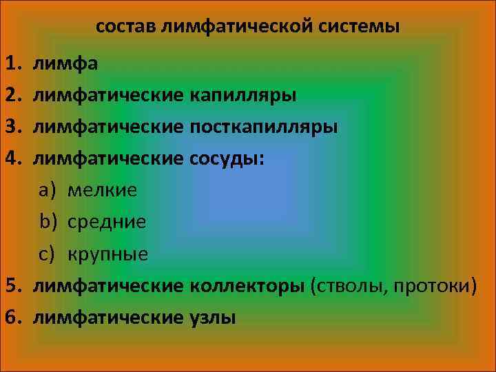 состав лимфатической системы 1. 2. 3. 4. лимфатические капилляры лимфатические посткапилляры лимфатические сосуды: a)