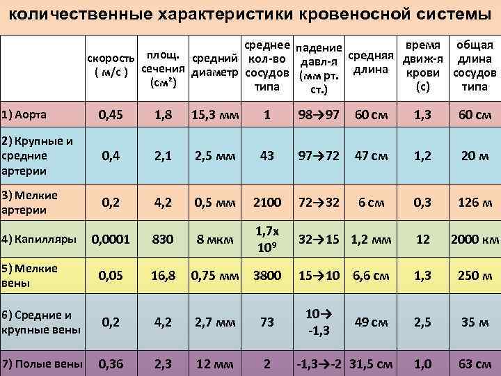 количественные характеристики кровеносной системы среднее падение время общая площ. средний кол-во скорость давл-я средняя