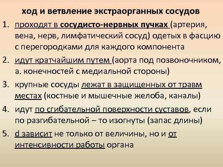 ход и ветвление экстраорганных сосудов 1. проходят в сосудисто-нервных пучках (артерия, вена, нерв, лимфатический