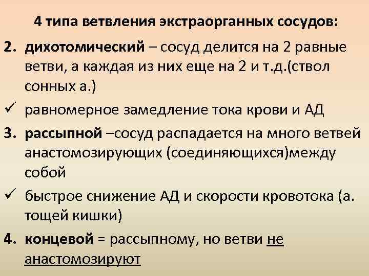 4 типа ветвления экстраорганных сосудов: 2. дихотомический – сосуд делится на 2 равные ветви,