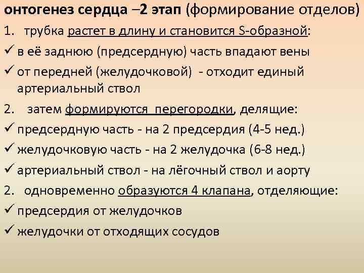 онтогенез сердца – 2 этап (формирование отделов) 1. трубка растет в длину и становится