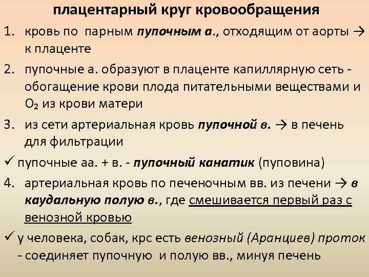 плацентарный круг кровообращения 1. кровь по парным пупочным а. , отходящим от аорты →