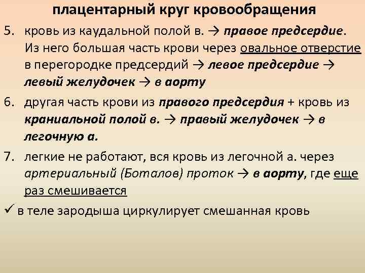 плацентарный круг кровообращения 5. кровь из каудальной полой в. → правое предсердие. Из него