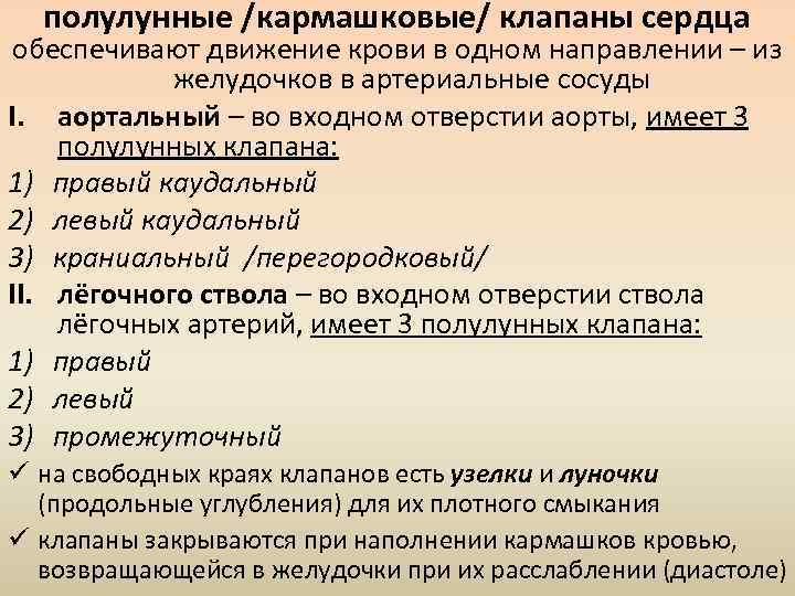 полулунные /кармашковые/ клапаны сердца обеспечивают движение крови в одном направлении – из желудочков в