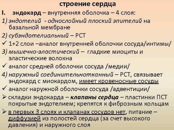 строение сердца I. эндокард – внутренняя оболочка – 4 слоя: 1) эндотелий - однослойный