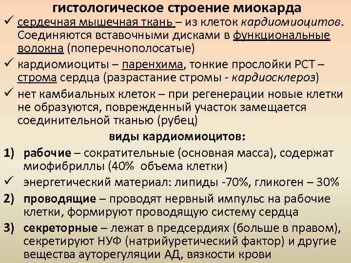 гистологическое строение миокарда ü сердечная мышечная ткань – из клеток кардиомиоцитов. Соединяются вставочными дисками