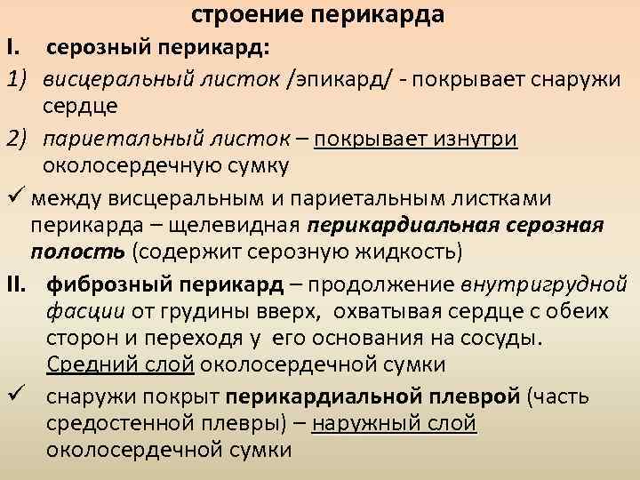 строение перикарда I. серозный перикард: 1) висцеральный листок /эпикард/ - покрывает снаружи сердце 2)