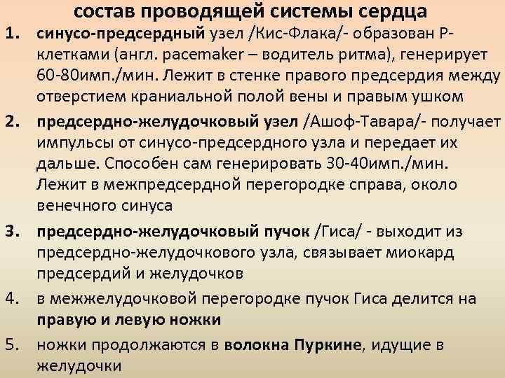 состав проводящей системы сердца 1. синусо-предсердный узел /Кис-Флака/- образован Рклетками (англ. pacemaker – водитель