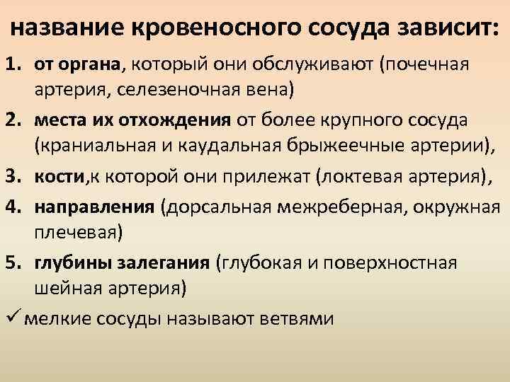 название кровеносного сосуда зависит: 1. от органа, который они обслуживают (почечная артерия, селезеночная вена)