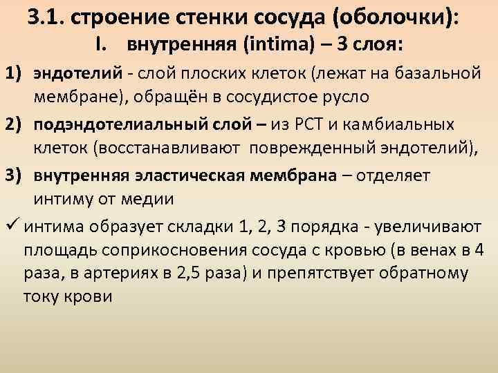 3. 1. строение стенки сосуда (оболочки): I. внутренняя (intima) – 3 слоя: 1) эндотелий