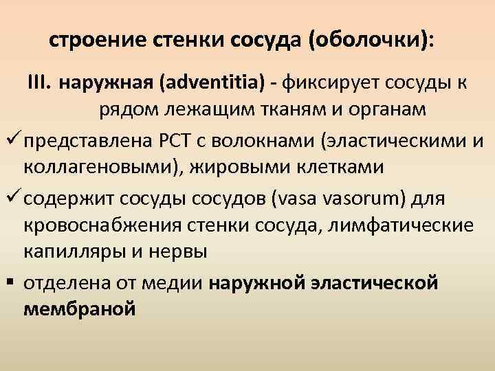 строение стенки сосуда (оболочки): III. наружная (adventitia) - фиксирует сосуды к рядом лежащим тканям