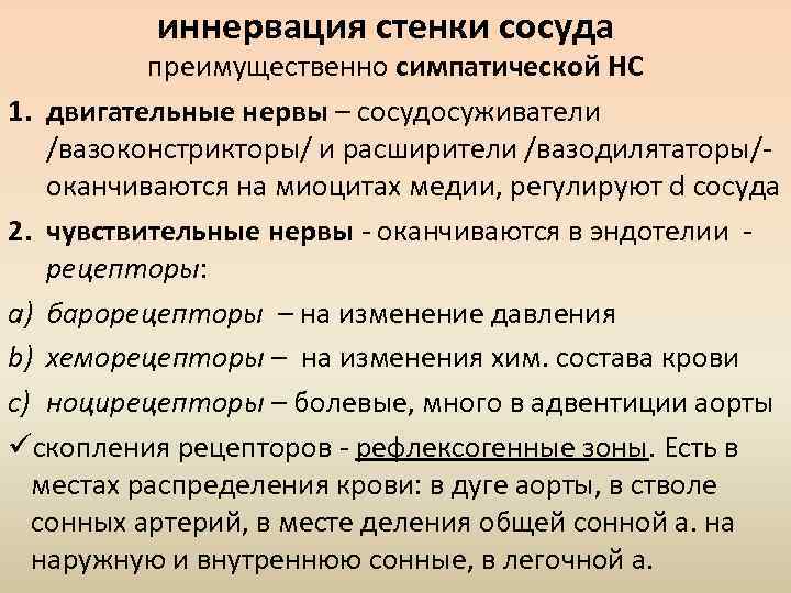 иннервация стенки сосуда преимущественно симпатической НС 1. двигательные нервы – сосудосуживатели /вазоконстрикторы/ и расширители