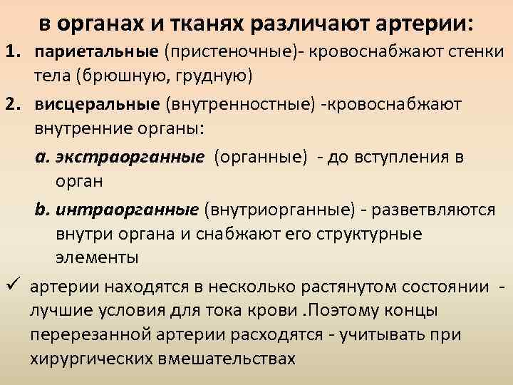 в органах и тканях различают артерии: 1. париетальные (пристеночные)- кровоснабжают стенки тела (брюшную, грудную)