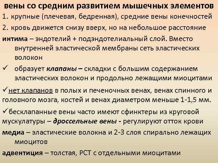 вены со средним развитием мышечных элементов 1. крупные (плечевая, бедренная), средние вены конечностей 2.