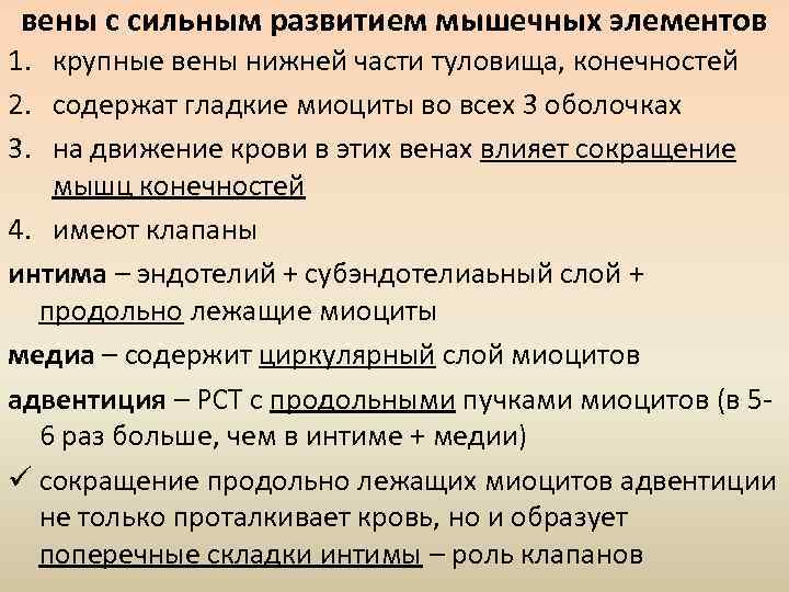 вены с сильным развитием мышечных элементов 1. крупные вены нижней части туловища, конечностей 2.