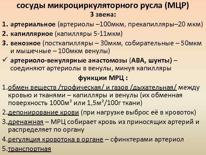 сосуды микроциркуляторного русла (МЦР) 3 звена: 1. артериальное (артериолы – 100 мкм, прекапилляры– 20