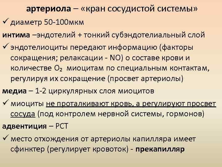 артериола – «кран сосудистой системы» ü диаметр 50 -100 мкм интима –эндотелий + тонкий