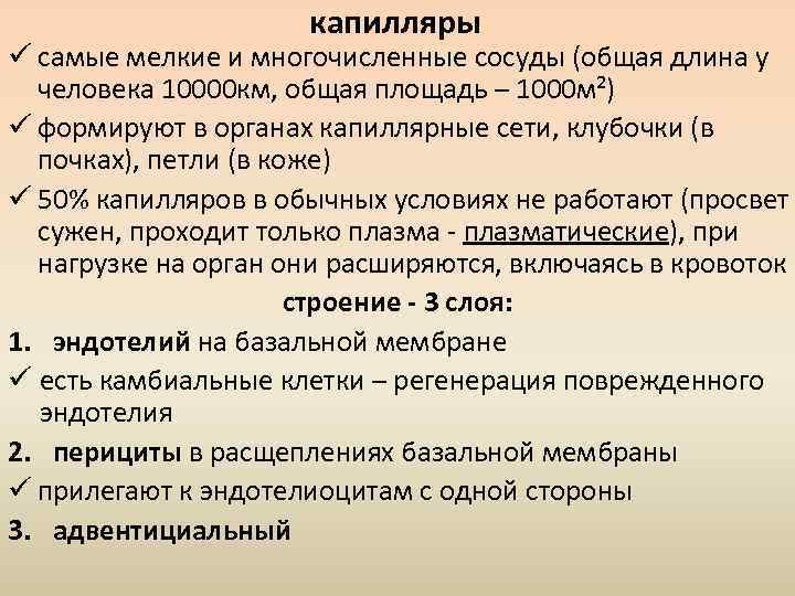 капилляры ü самые мелкие и многочисленные сосуды (общая длина у человека 10000 км, общая