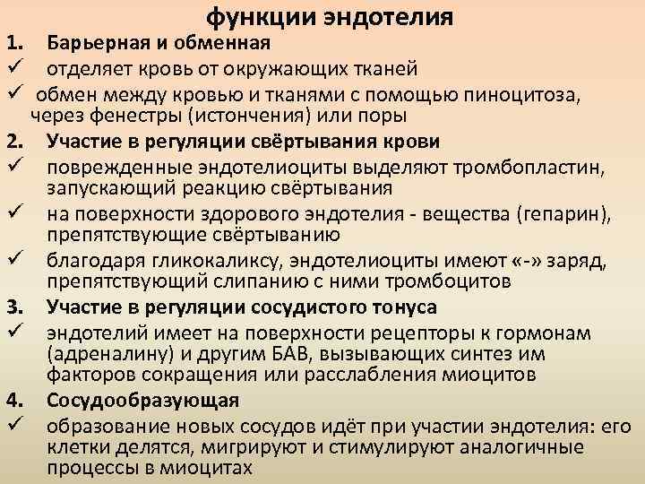 функции эндотелия 1. Барьерная и обменная ü отделяет кровь от окружающих тканей ü обмен